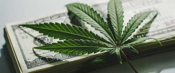 Hydro Weed Price Breakdown – What’s Factored In dispensary loans